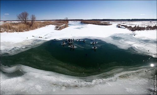 Весна, март