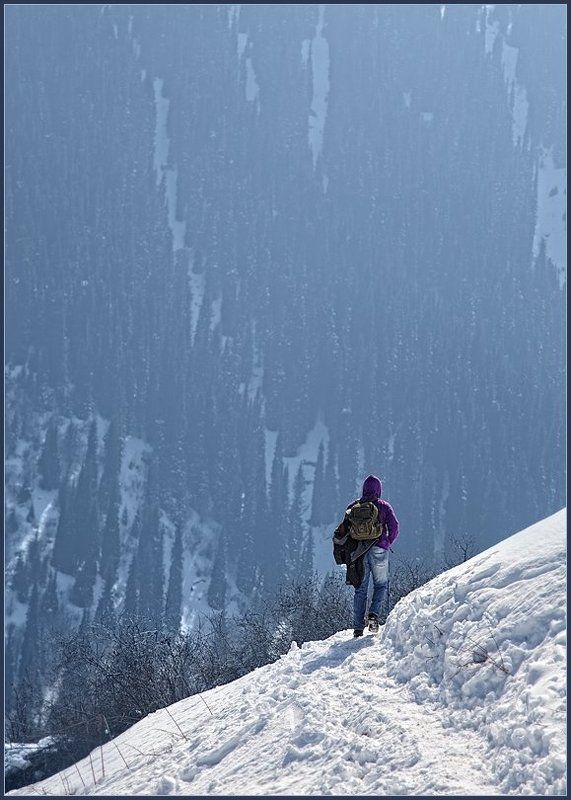 Дорогу осилит идущий ...*4 фото превью