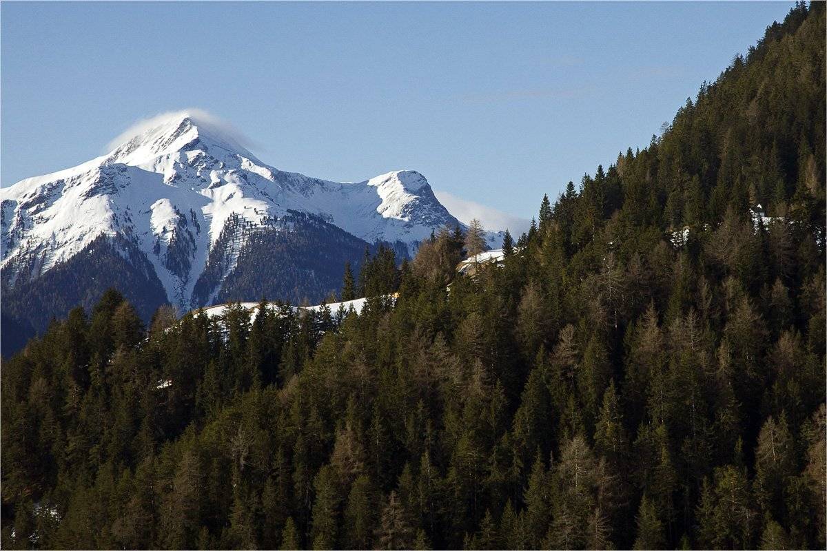 , СПИРИДОНОВ НИКОЛАЙ