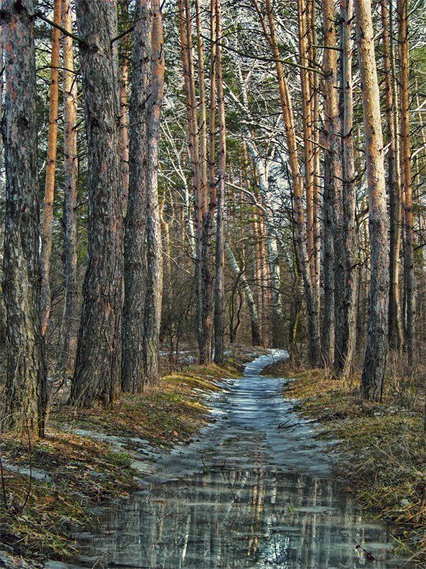 Тропа Весны фото превью