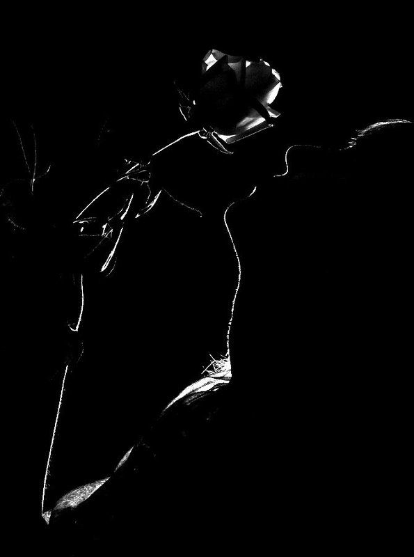 Силуэт фото превью