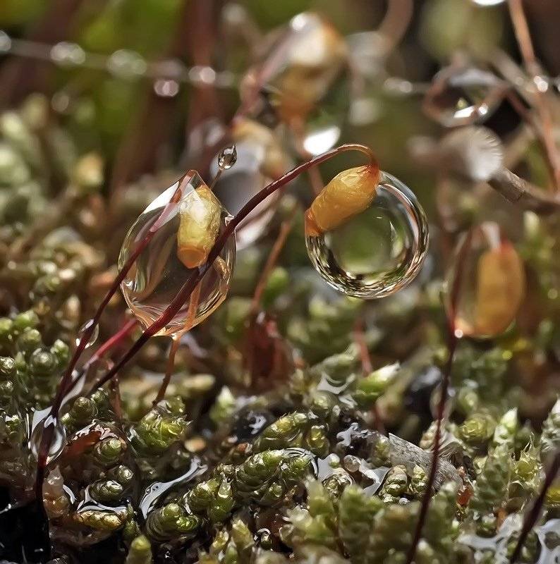 , Андрей Осокин