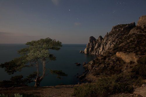 В лунном свете.