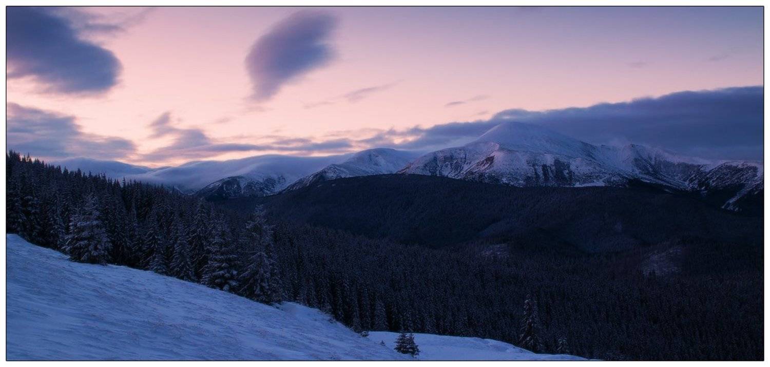 , Денис Кривой