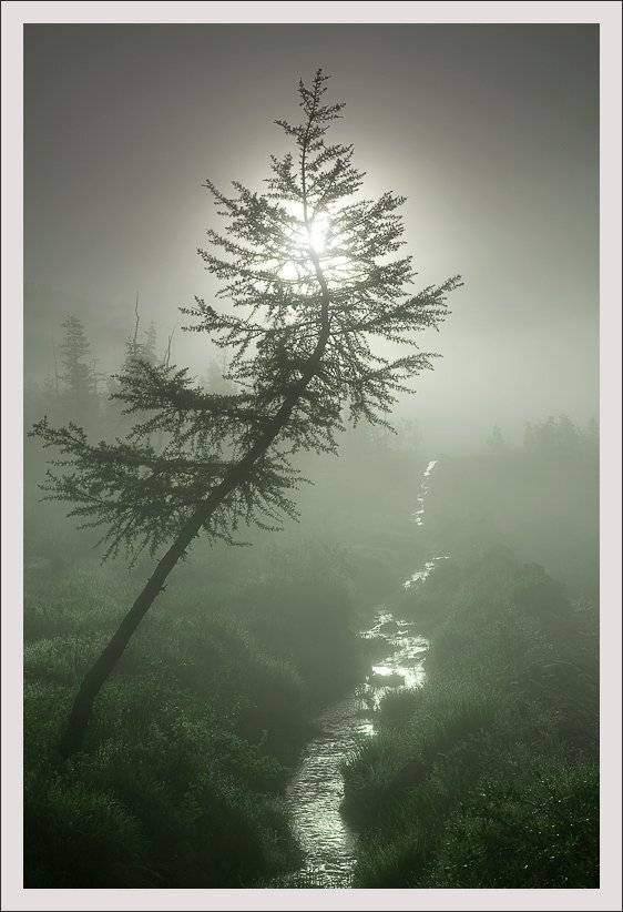 , Сергей Захаров.