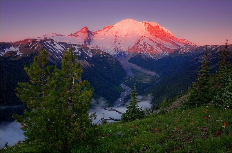 Morning фото превью