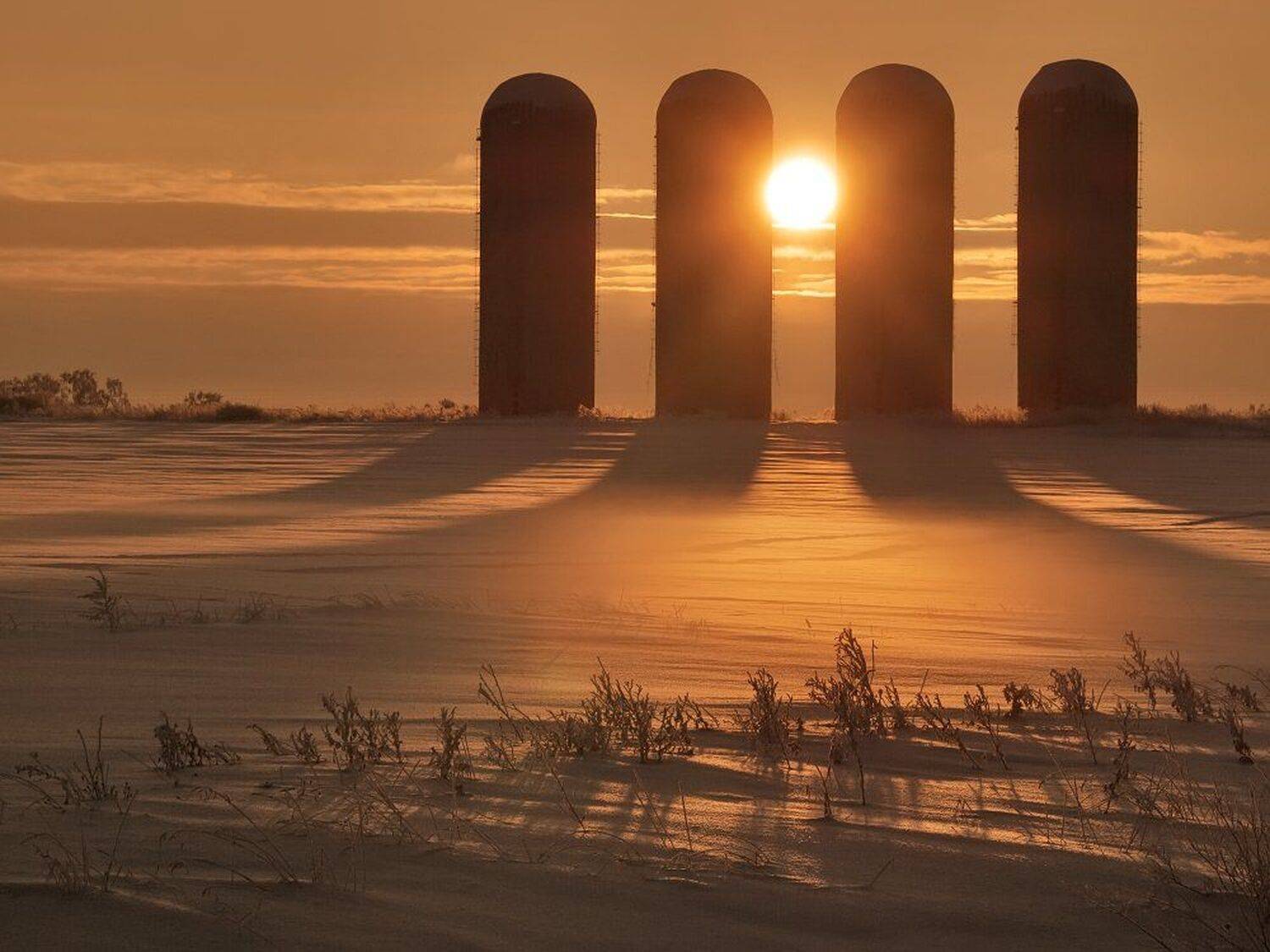 , Максим Евдокимов