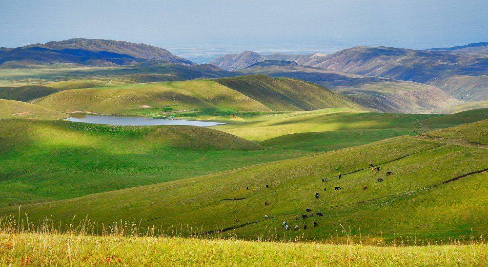 ушконыр, лошади, холмы, лето, озеро, Ольга Кулакова