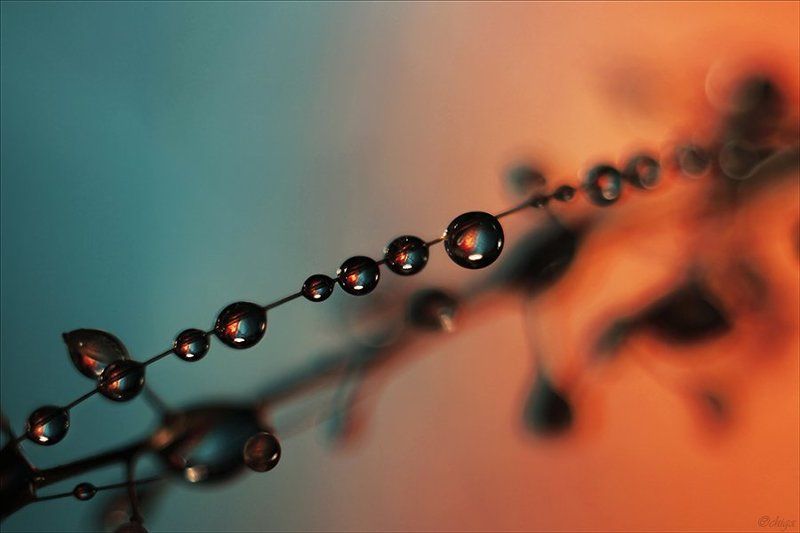 вода, капли Бусинки фото превью