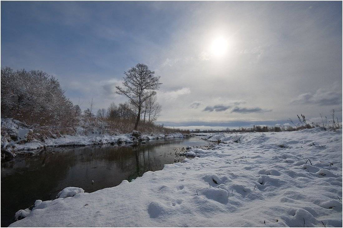 , Николай Шахманцир