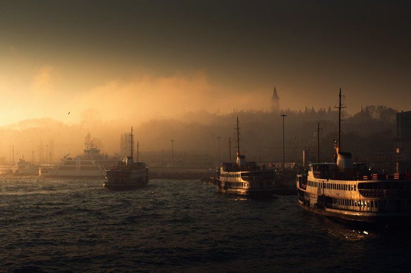 foggy morning