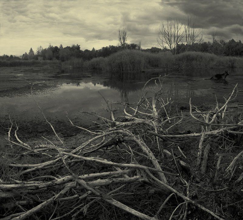 Неясная тревога фото превью
