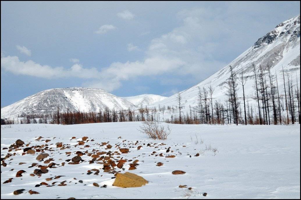 таймыр, Vladimir