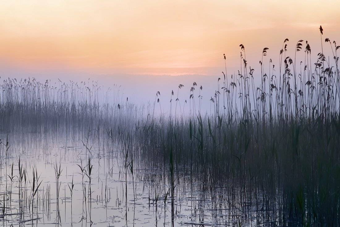 , Rimantas Bikulcius