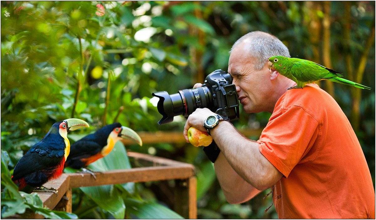 brazil, izh Diletant (Валерий Щербина)