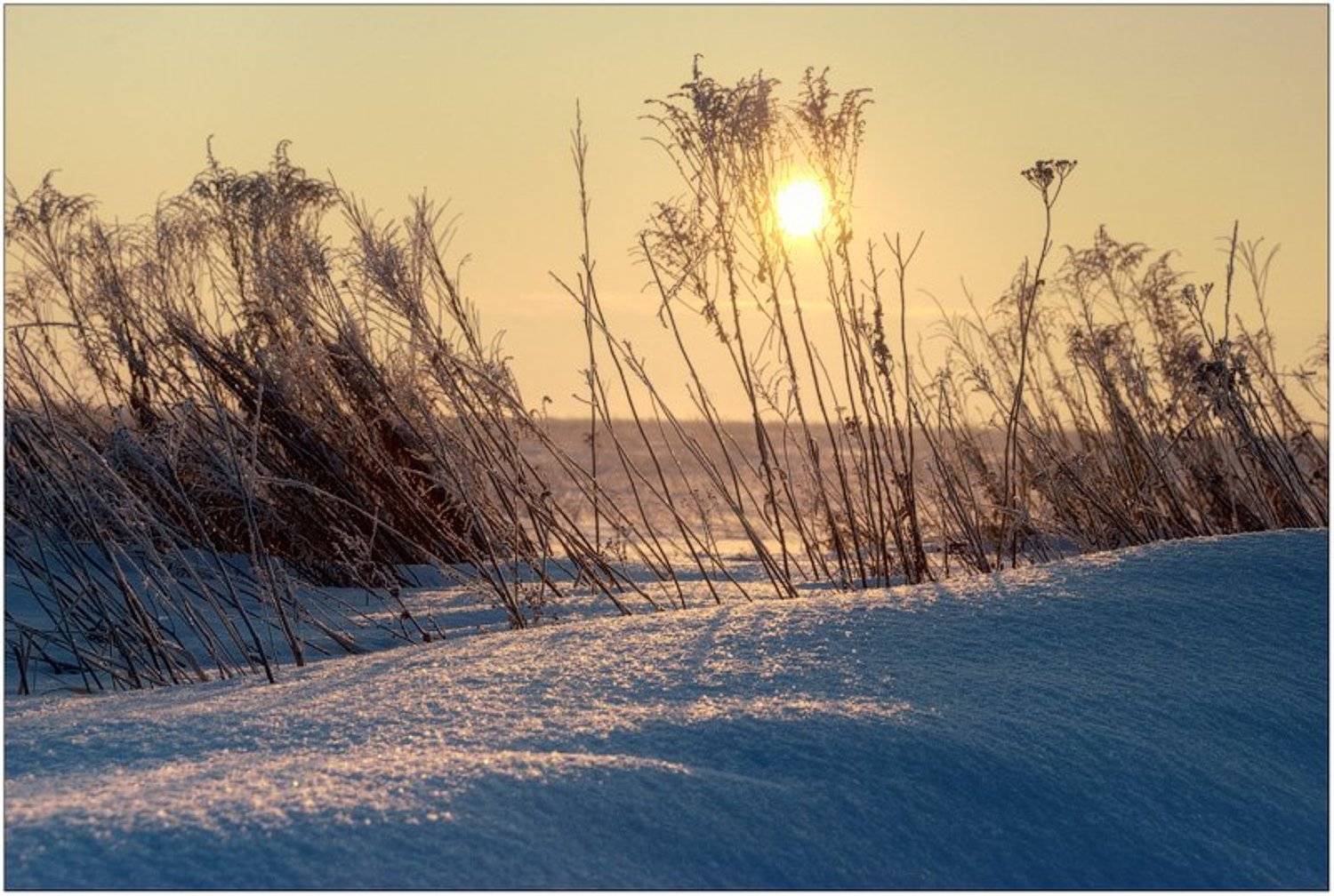 , Константин Дмитриев