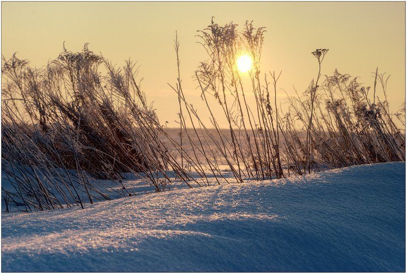 Я уже и забыл как выглядит эта земля без снега.. фото превью