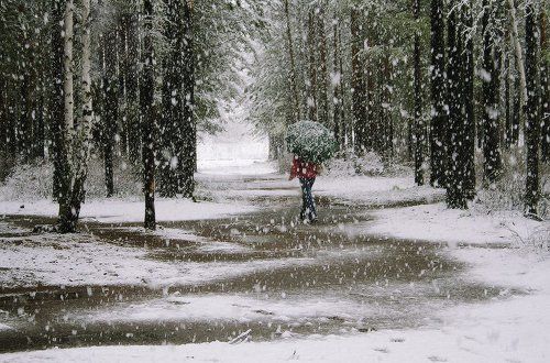 Майский снег