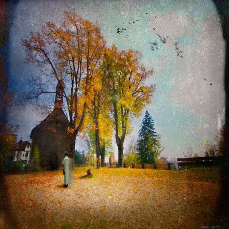 alone . фото превью