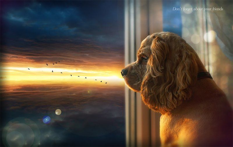 don\'t forget about your friends фото превью