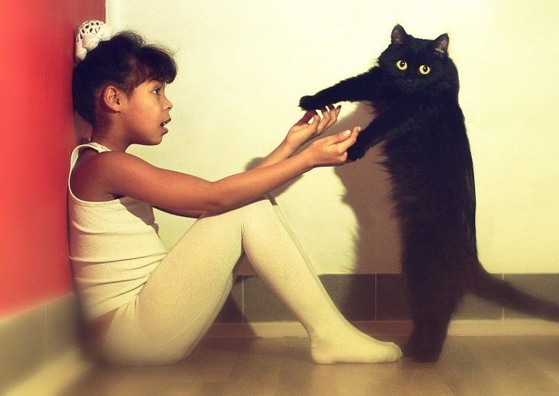 разные фото превью