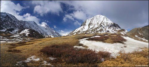 Весеннее пробуждение