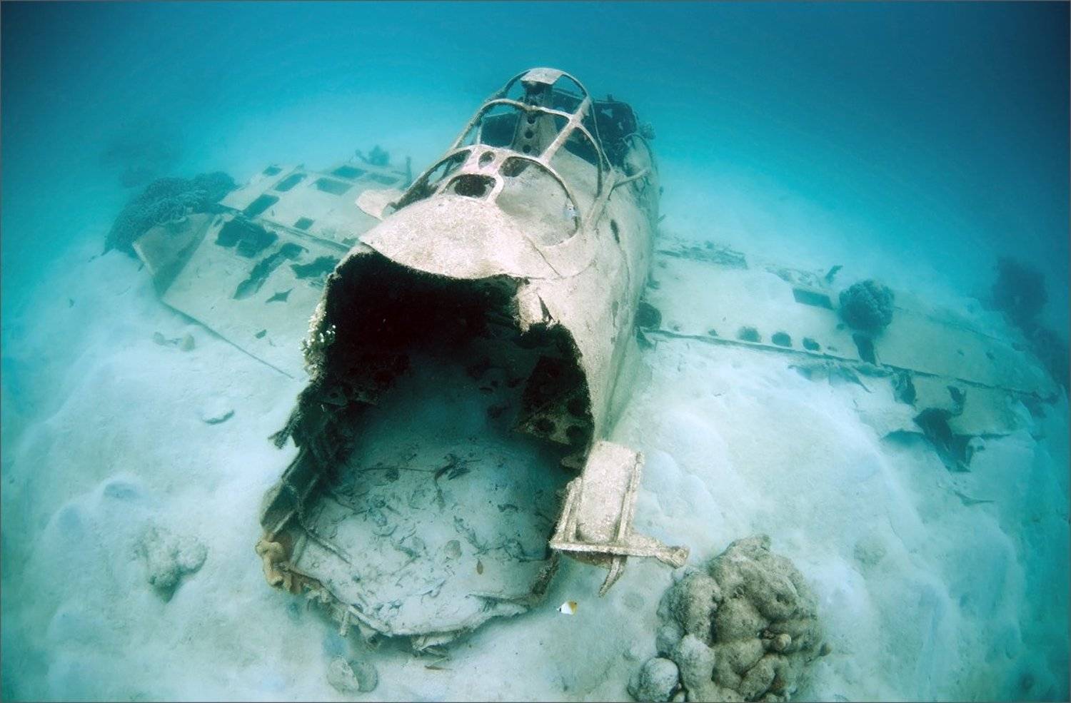 игра_окончена, Нетушки