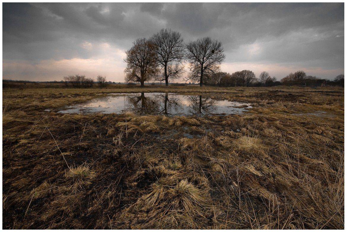 , Николай Шахманцир