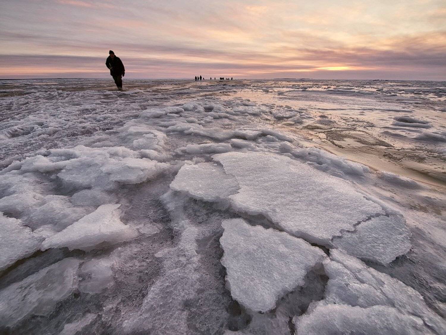 , Максим Евдокимов