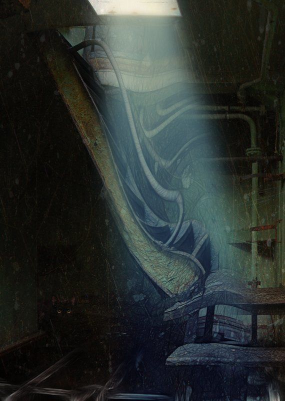 выход фото превью