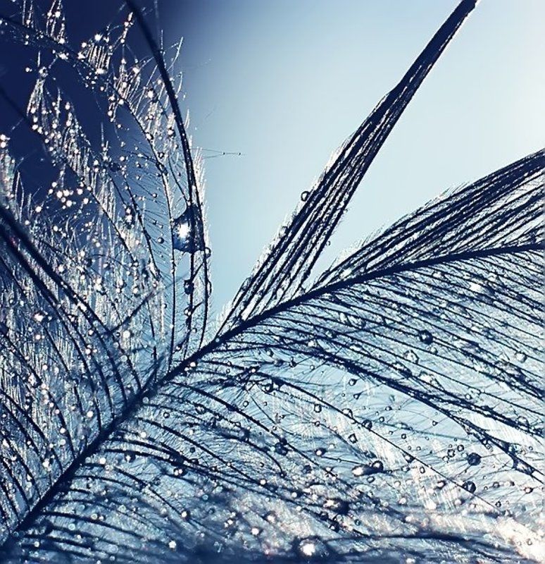 mess фото превью