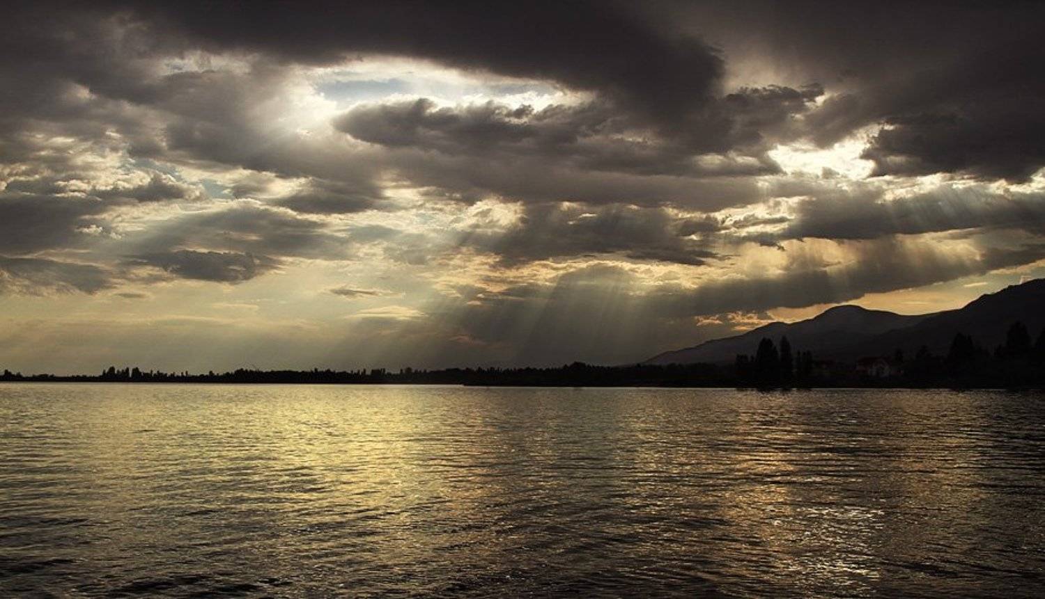 , Сергей Салюков