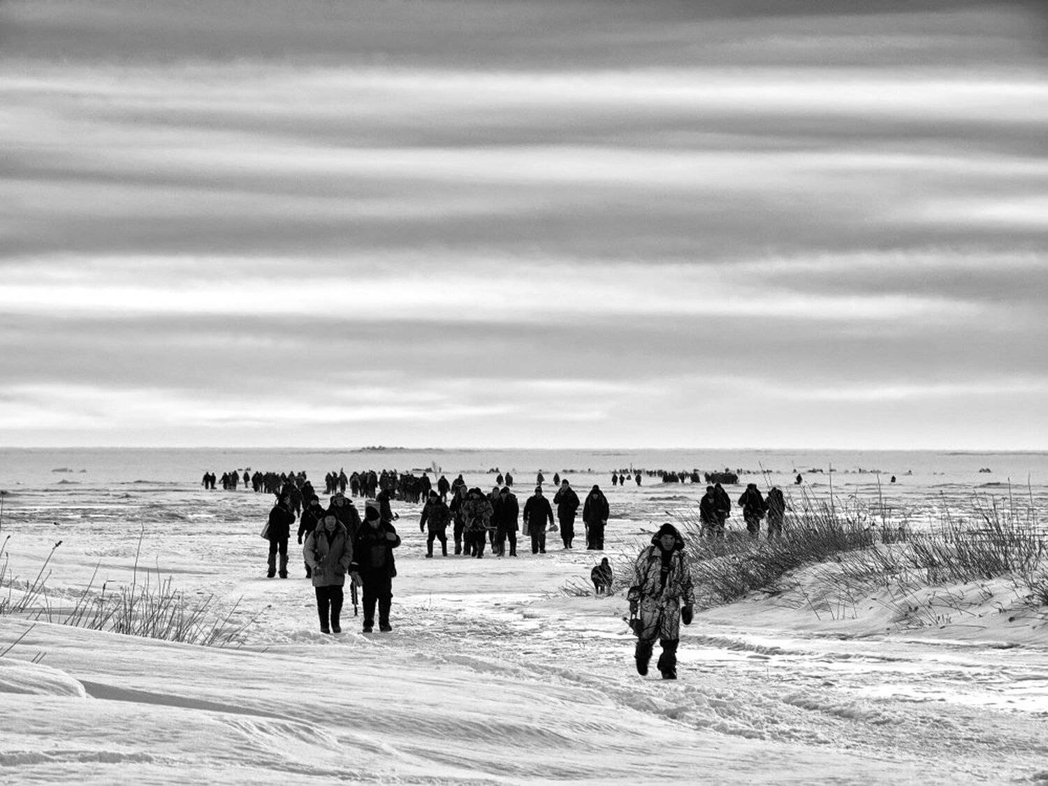 , Максим Евдокимов