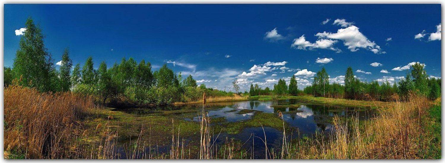 весна, природа, пейзаж, панорама, SvetLana