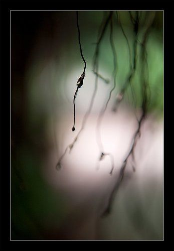 Лабиринт для капли