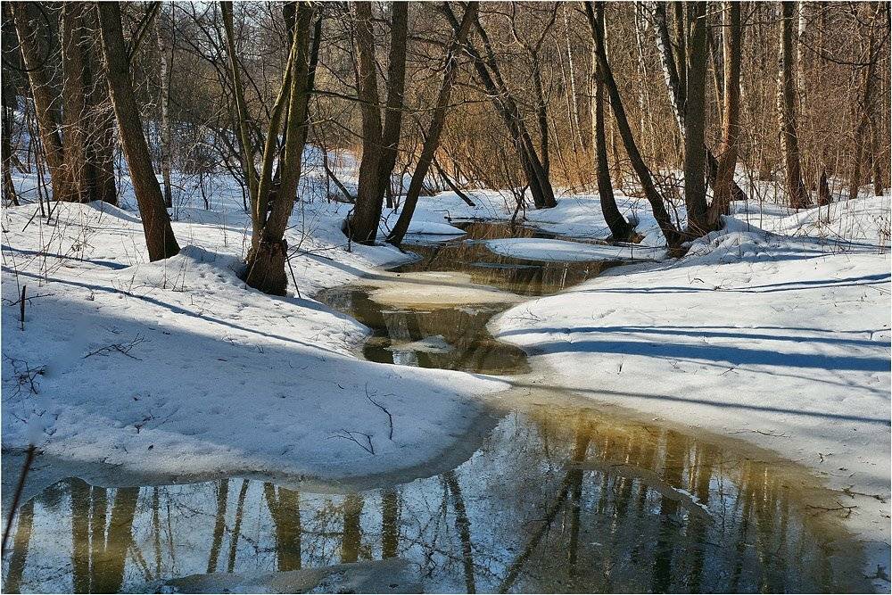 россия, подмосковье, природа, речка, македонка, Сергей Гаспарян