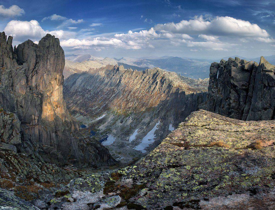 пилы, тайжасу, Васин Валерий (WAler)