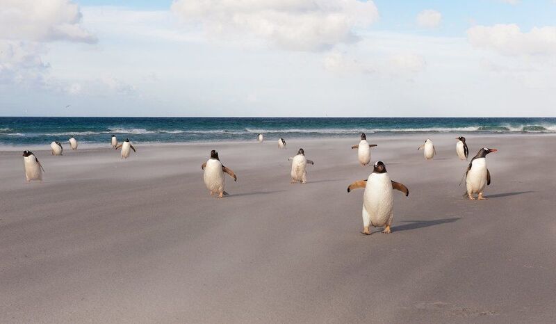 Полундра!