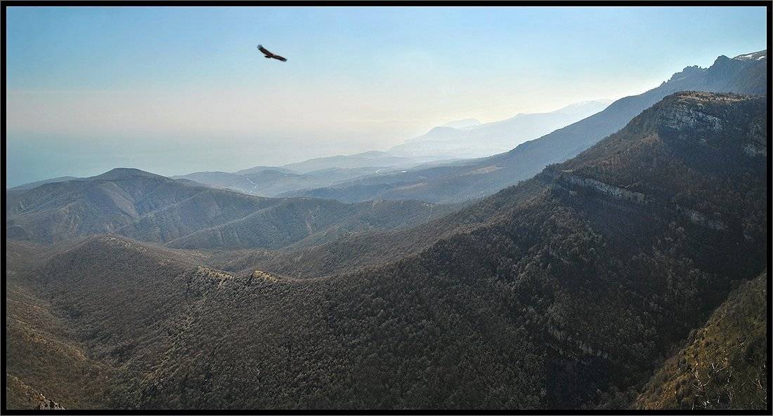 , Владимир Метцгер