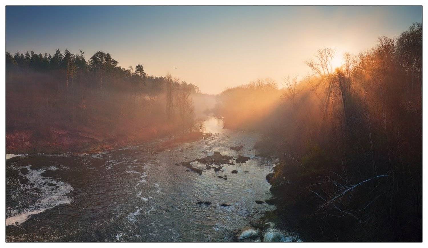 , Денис Кривой