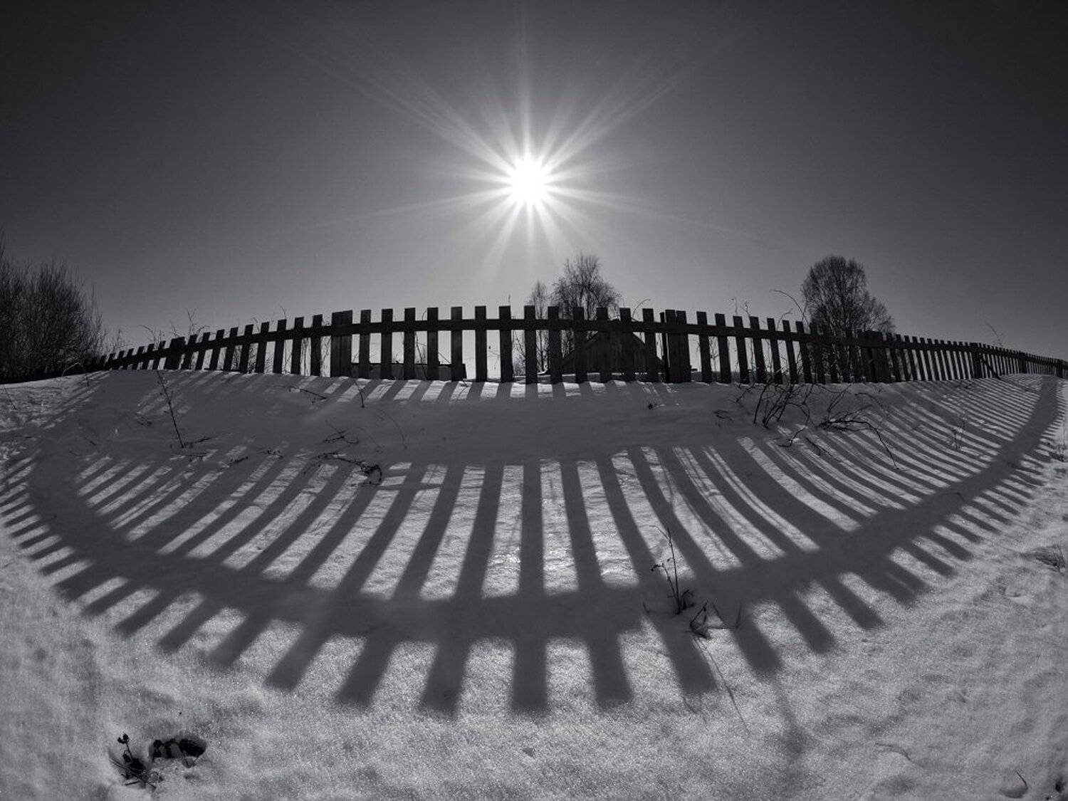 , Максим Евдокимов