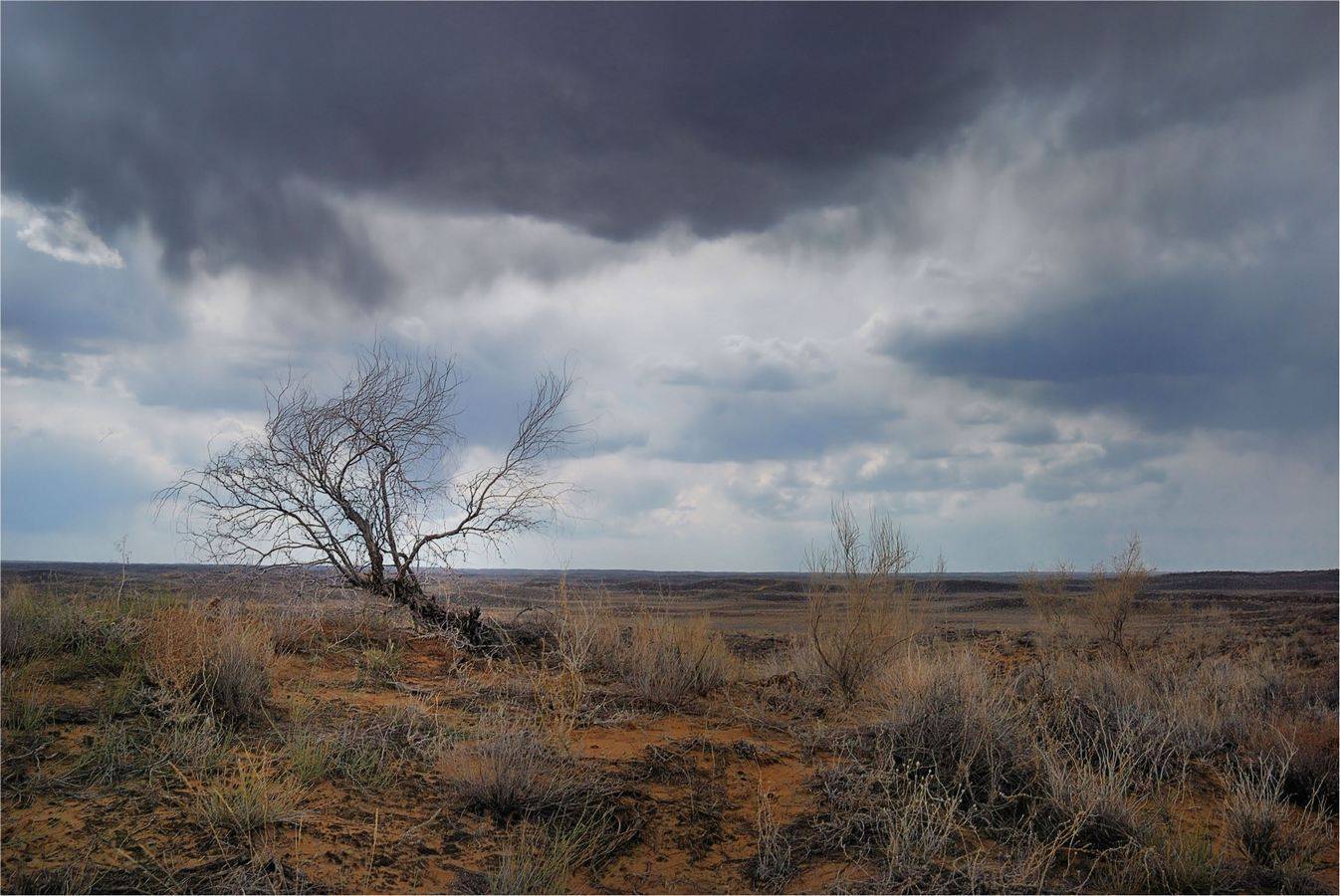 природа, , казахстан, Геннадий Меремьянин
