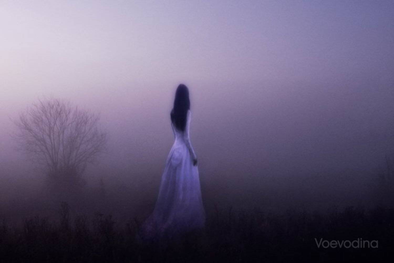 , Елена Воеводина