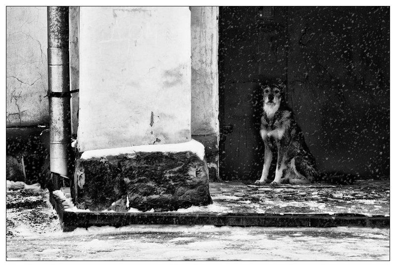 black and white, ч/б, жанр, черное и белое ДОМ ТАМ, ГДЕ ЖДУТ... фото превью