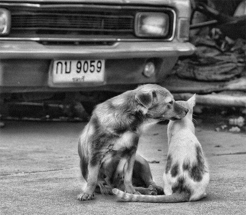 Ромео и Джульетта