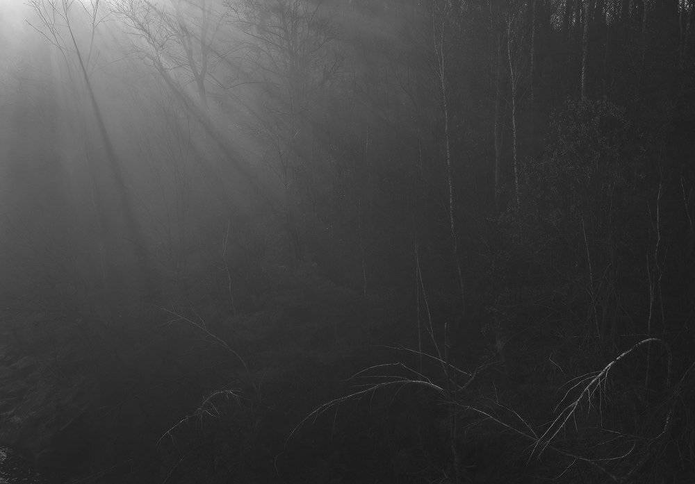 , Михаил Мочалов