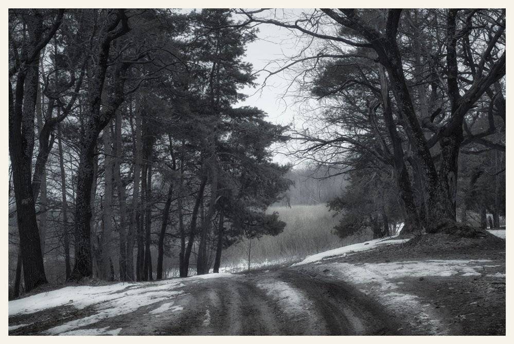 , Сергей Полукаров