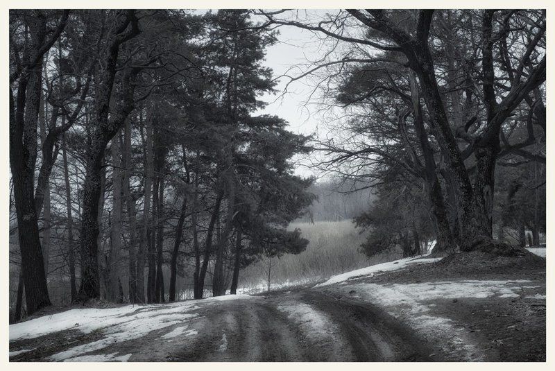 * * * фото превью