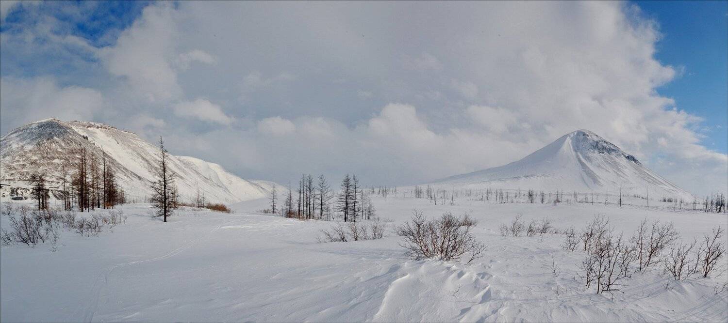 таймыр, Vladimir