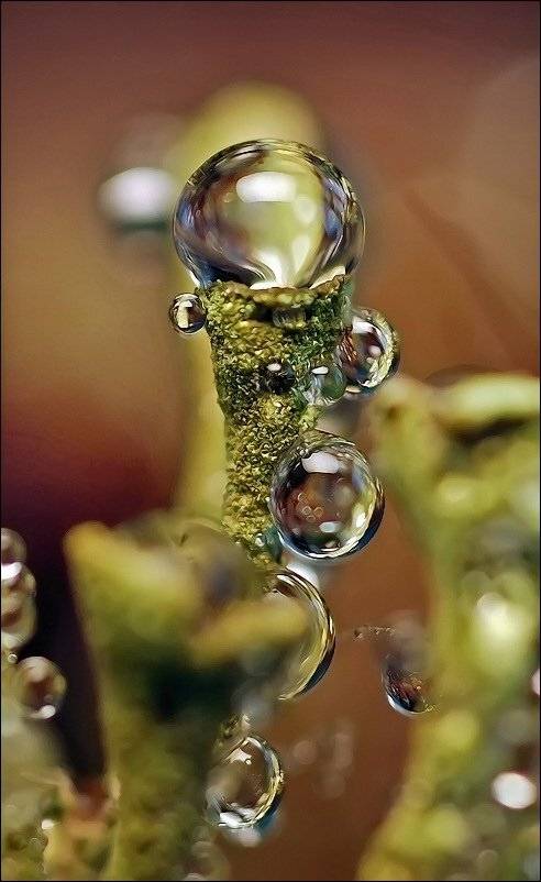 , Андрей Осокин